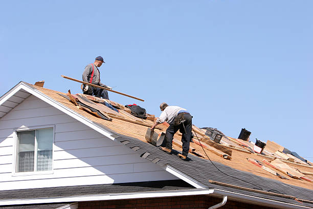  , DE Roofing repair and installation Pros